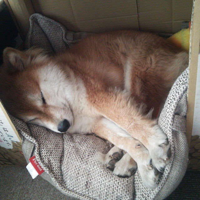 九游登录入口-NBA球员心理韧性训练与培养，nba球员性格问题