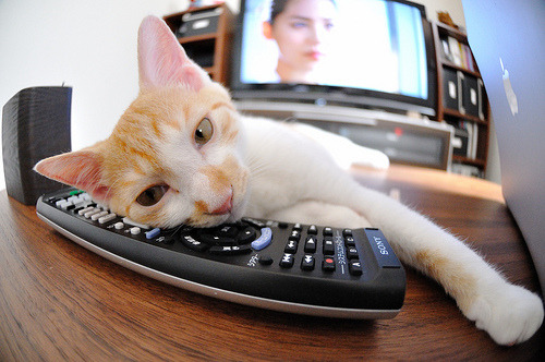 九游-体育赛事品牌价值评估，体育赛事品牌价值评估方法