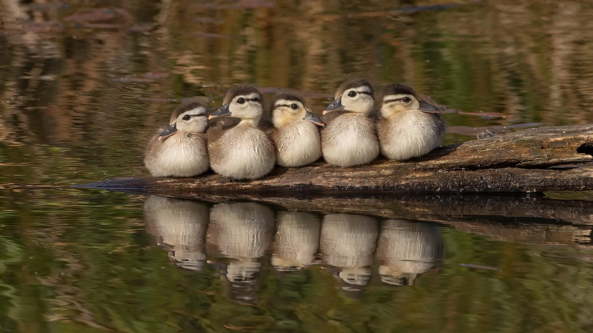 九游下载安装-体育项目进企业健康促进活动实践案例，企业体育活动策划方案
