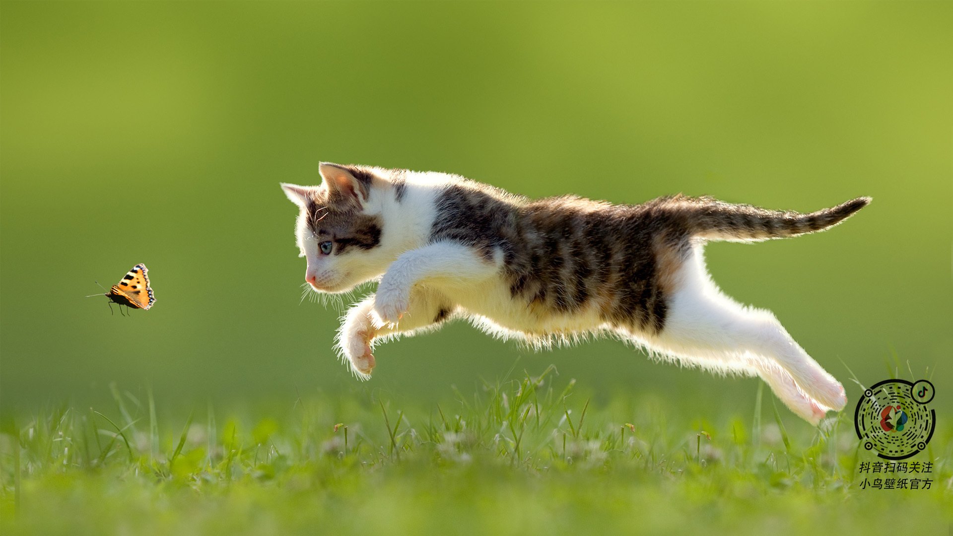 九游登录中心-国足比赛场地适应性数据追踪，国足场次表