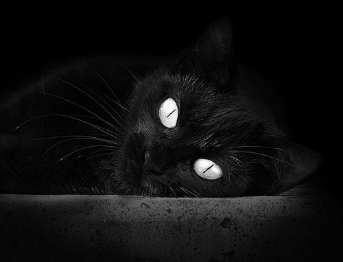 九游网-德甲球队休赛期集训方式对开局表现影响，德甲多久开赛