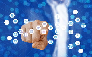 九游sports-数字体育课程资源开发与应用效果分析，数字化体育课