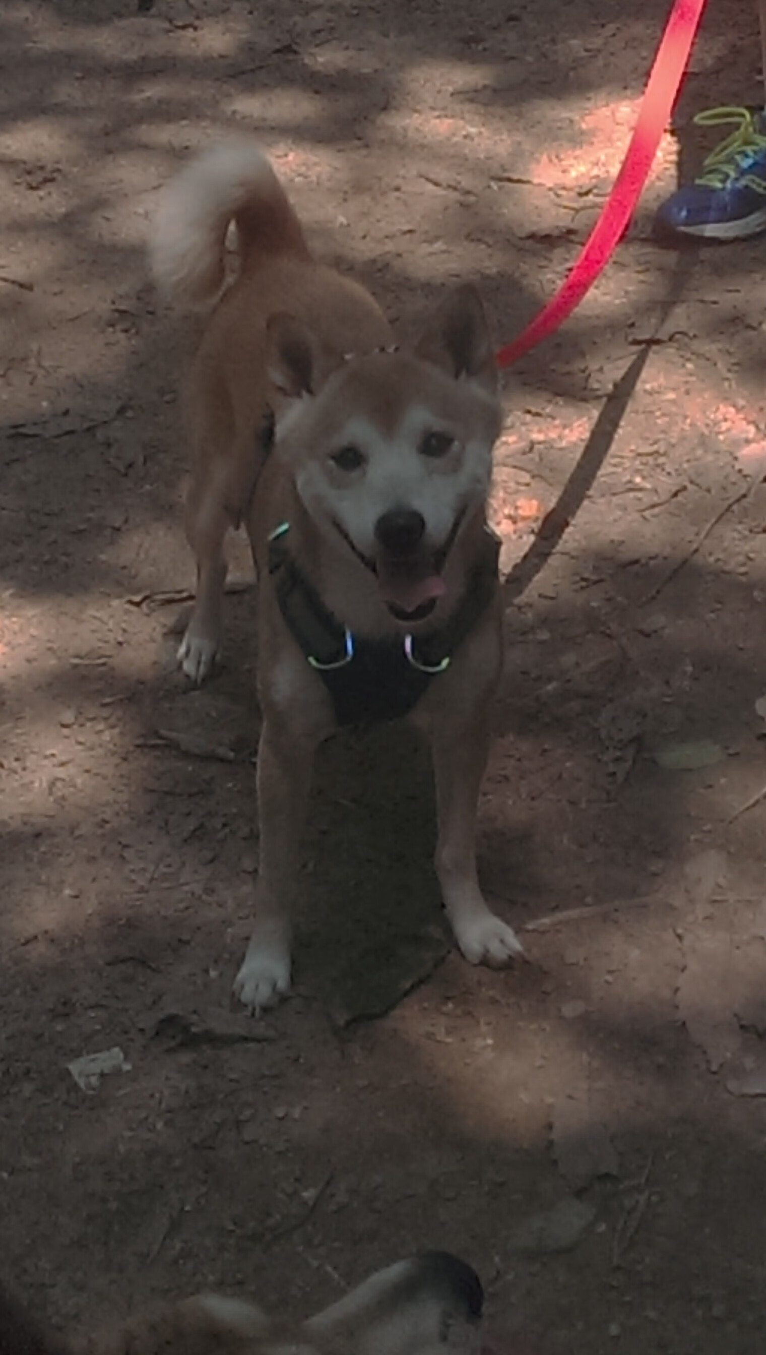 九游网游官网-法甲球队基于大数据优化边路进攻防守平衡策略，法甲爆发大规模冲突