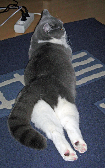 JIUYOU GAMING-篮球专项技能课程开发与教学创新实践，篮球教学创新方法