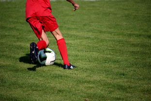 九游网页版入口-篮球运动员心理韧性培养及心理干预体系，篮球运动员的心理训练