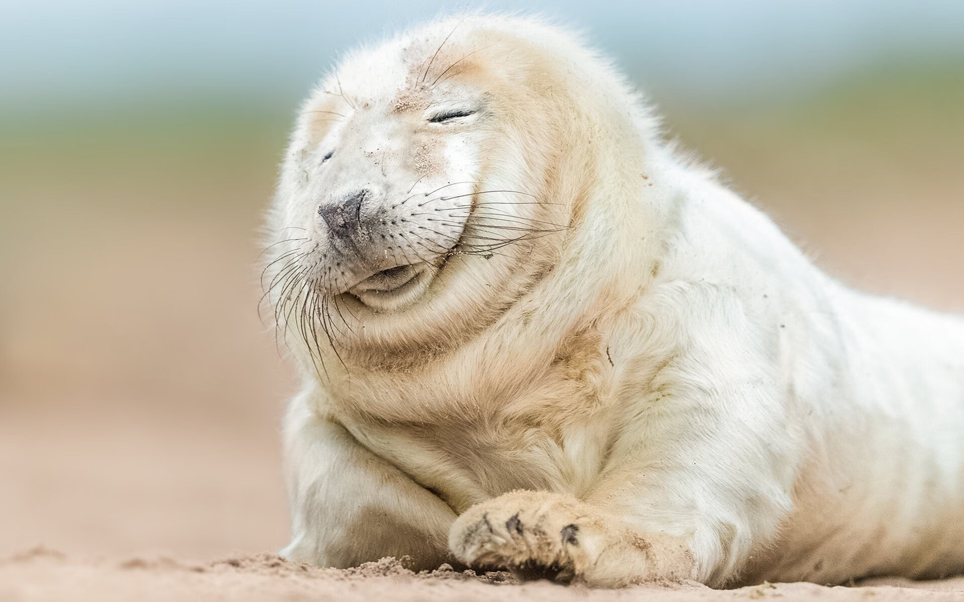 九游app官网下载-女子橄榄球职业化推动迅猛发展，女子橄榄球火爆程度