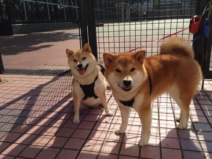 九游娱乐APP-数字化转型提升观赛体验，数字化转型讨论会