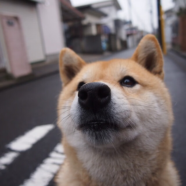 -新赛季目标清晰明确，新赛季什么时候拿标