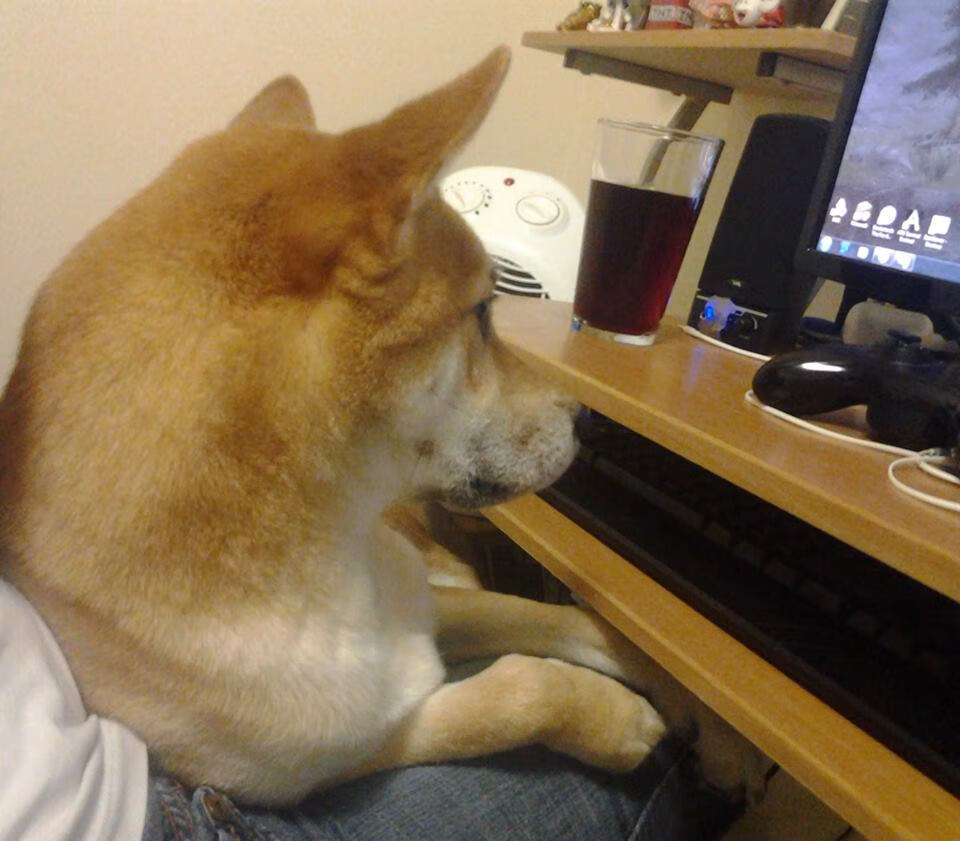 -李恩：从防守到进攻，他为全黑队提供了极大的战术灵活性，李恩在百度百科