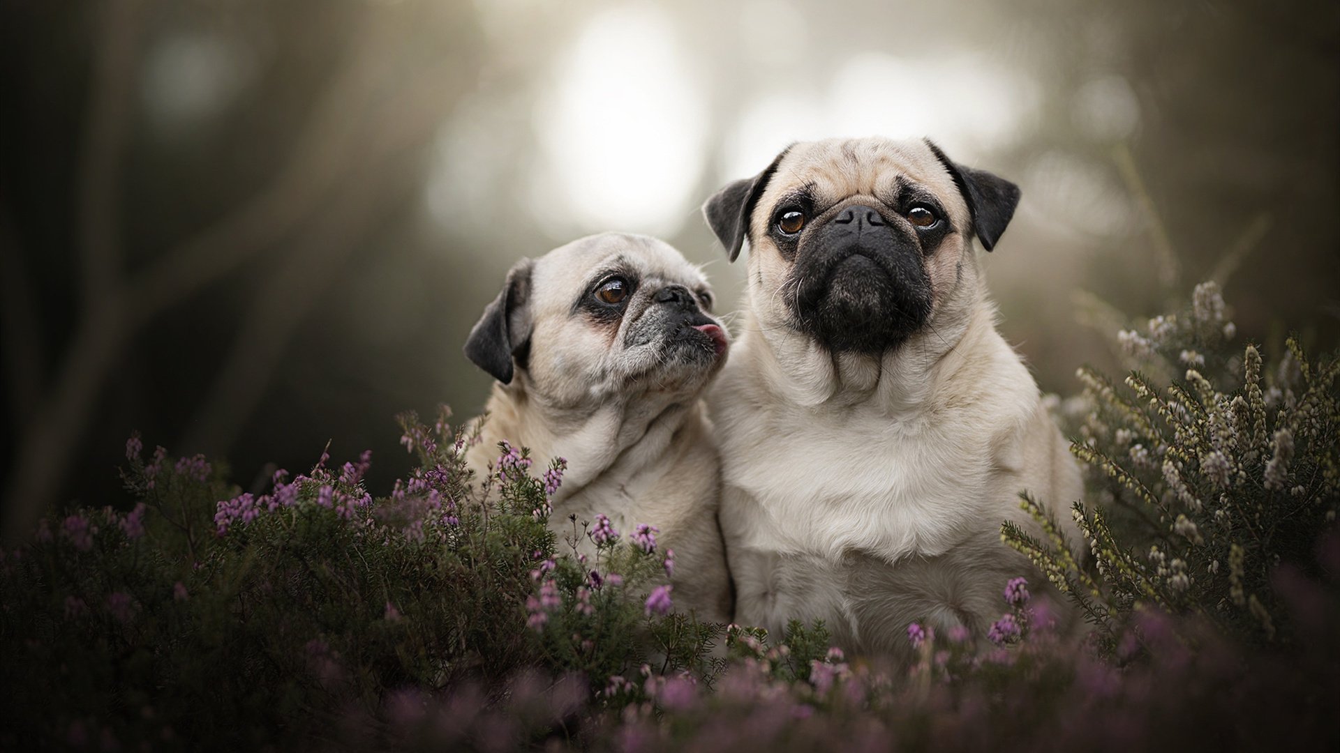 九游官网下载电脑版-Berger 传球精准指挥进攻