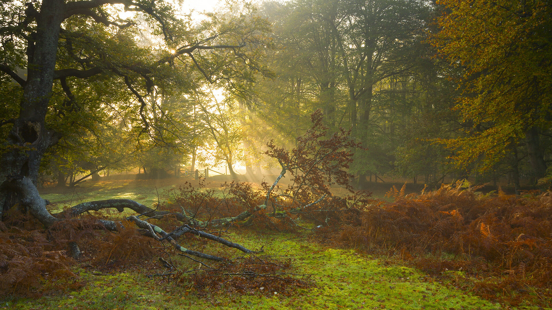 -中国篮球运动与家庭教育理念转型之间的相互影响关系，中国篮球教育发展现状