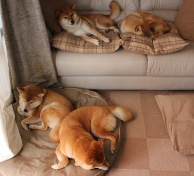 九游jiuyou-中超外援政策影响几何，中超的外援水平怎么样