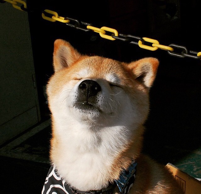 -体育文创产品出口市场逐步扩大品牌影响增强，体育文创产业