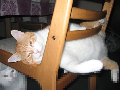 九游(jiuyou)官方网站-体育新闻中心打造跨行业合作案例的体育传播模板，体育新闻深度报道案例