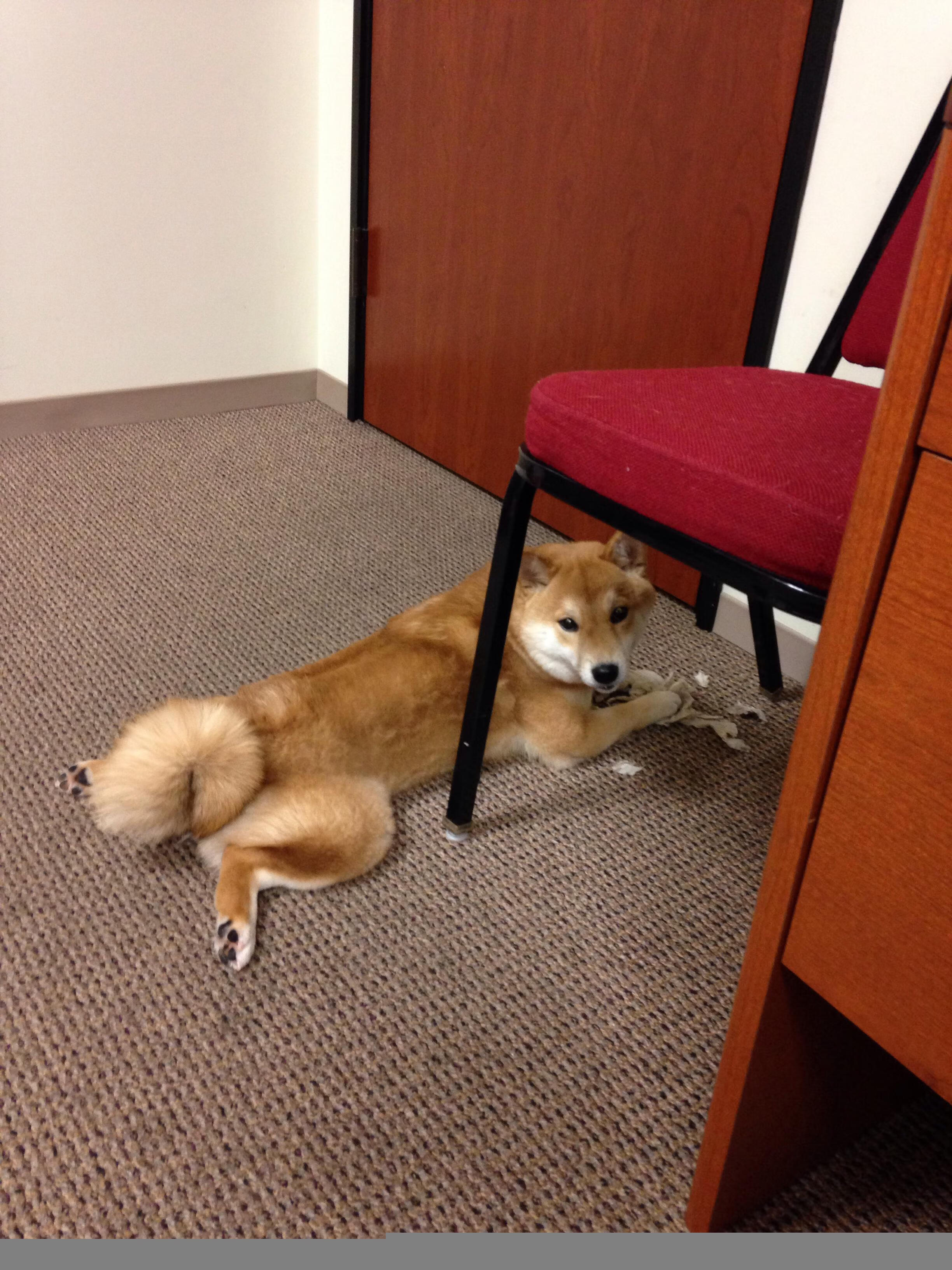 九游网页版官网-再好的老师也教不会不配合学生，合作是关键，任课老师不配合你的工作